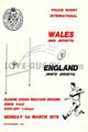 Wales Police England Police 1976 memorabilia